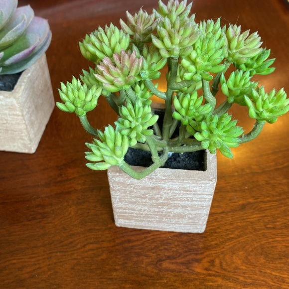 Faux Succulents set of two. EUC - Picture 2 of 8